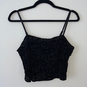Sheer Velvet Black Crop Top